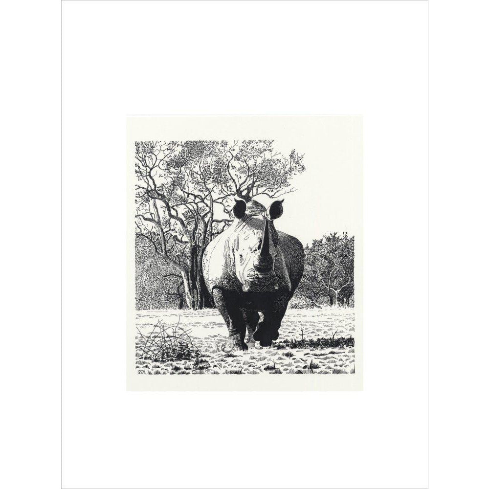 White Rhinoceros Advancing - art print