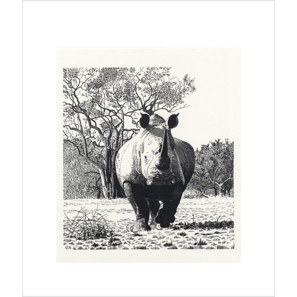 White Rhinoceros Advancing - art print