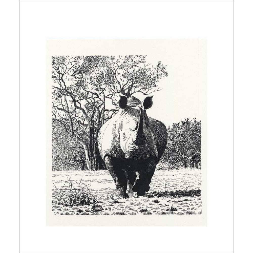 White Rhinoceros Advancing - art print