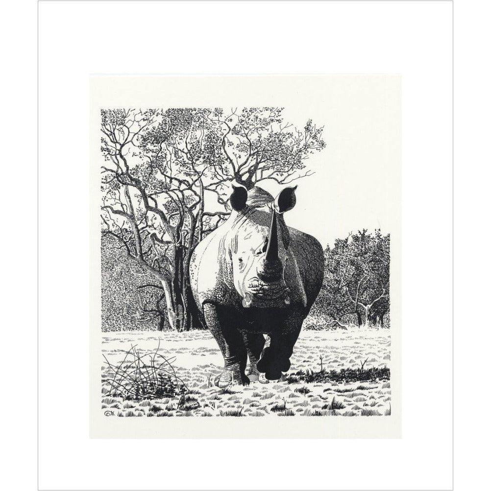 White Rhinoceros Advancing - art print
