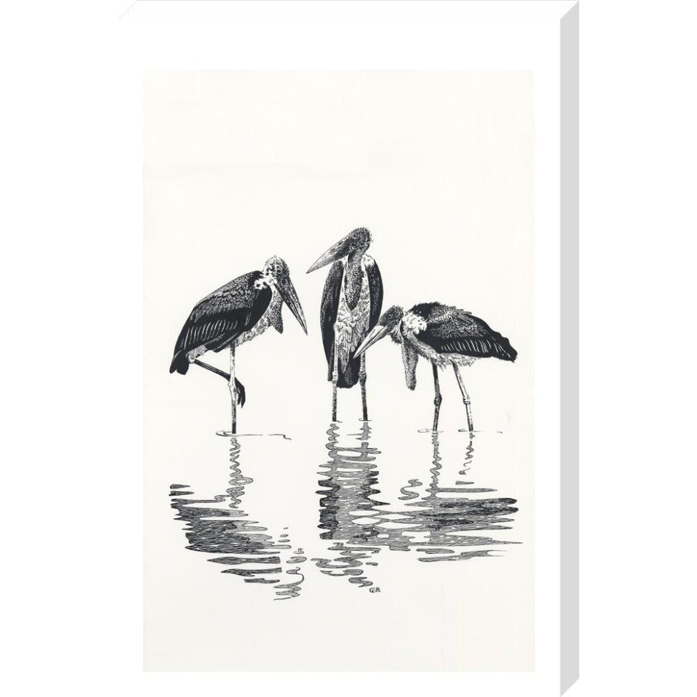Marabou at Kaseny - art print