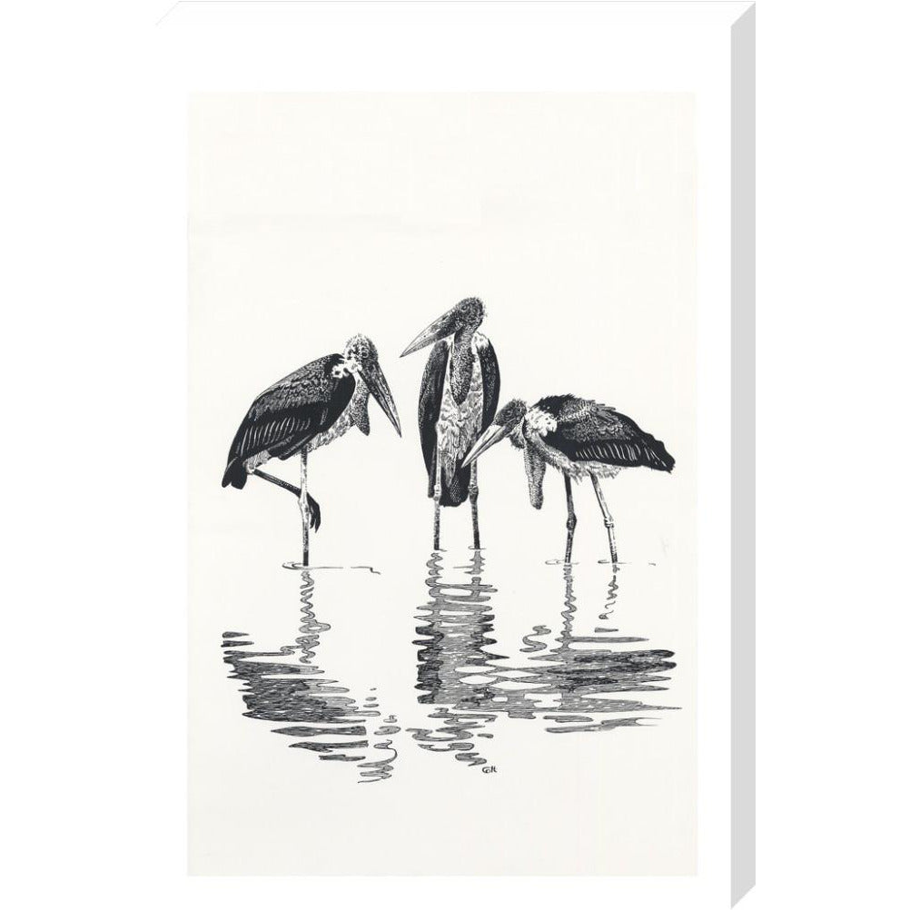 Marabou at Kaseny - art print
