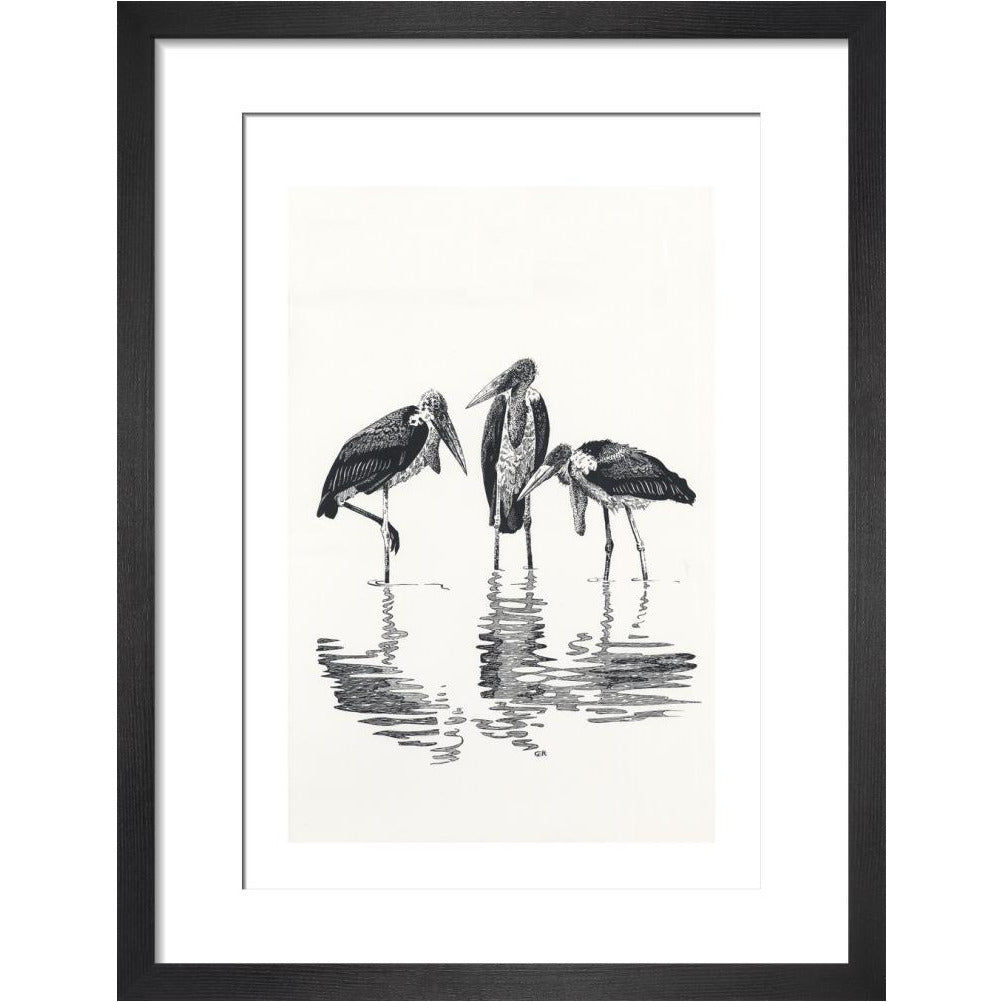Marabou at Kaseny - art print