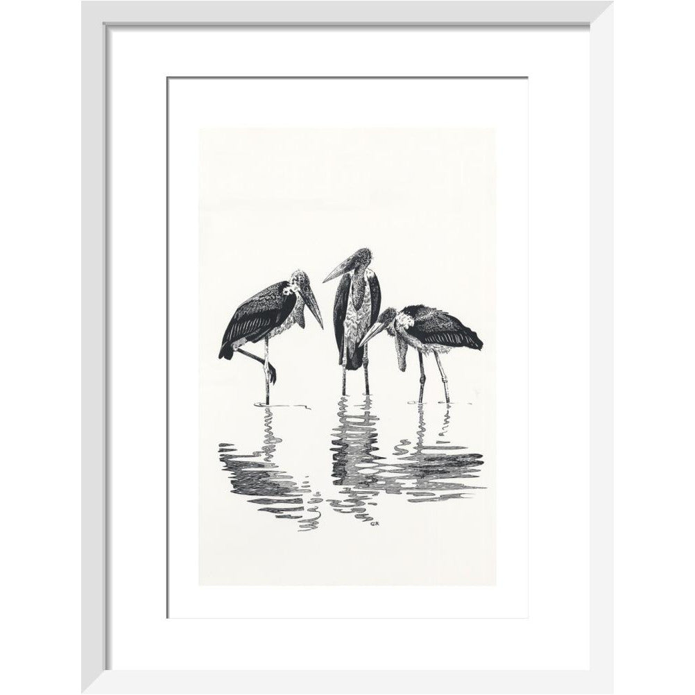 Marabou at Kaseny - art print