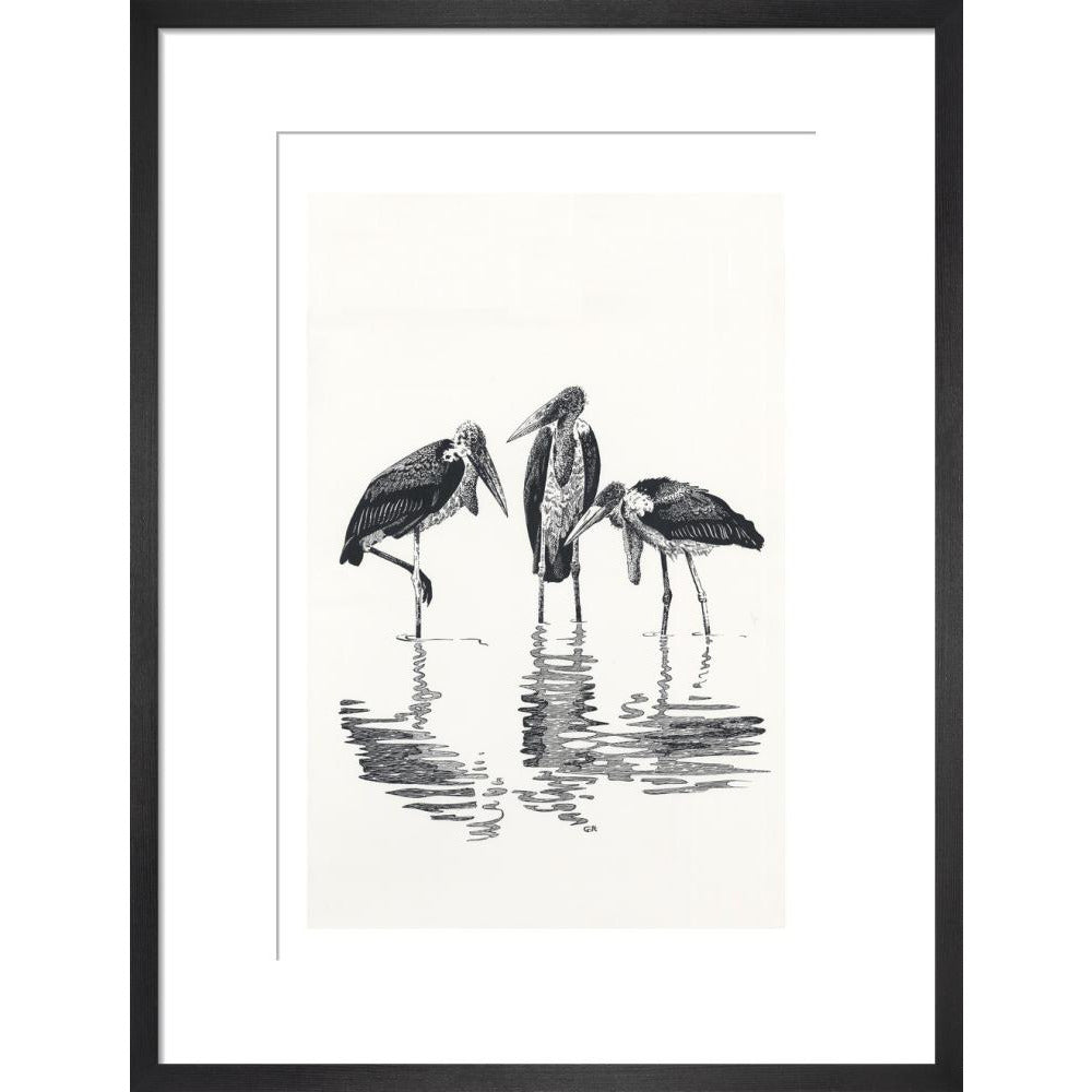 Marabou at Kaseny - art print
