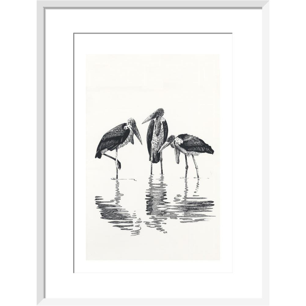 Marabou at Kaseny - art print