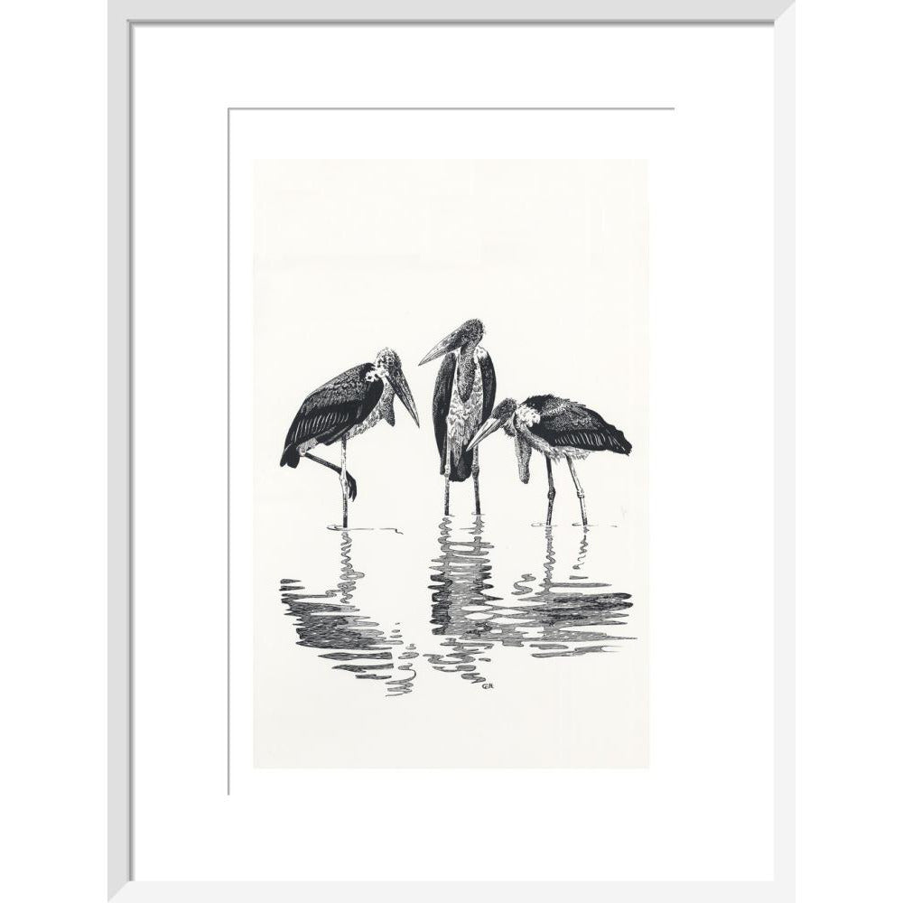 Marabou at Kaseny - art print