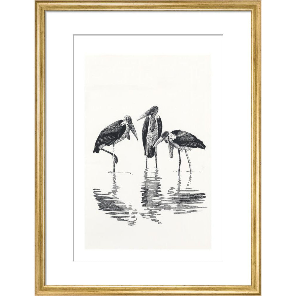 Marabou at Kaseny - art print