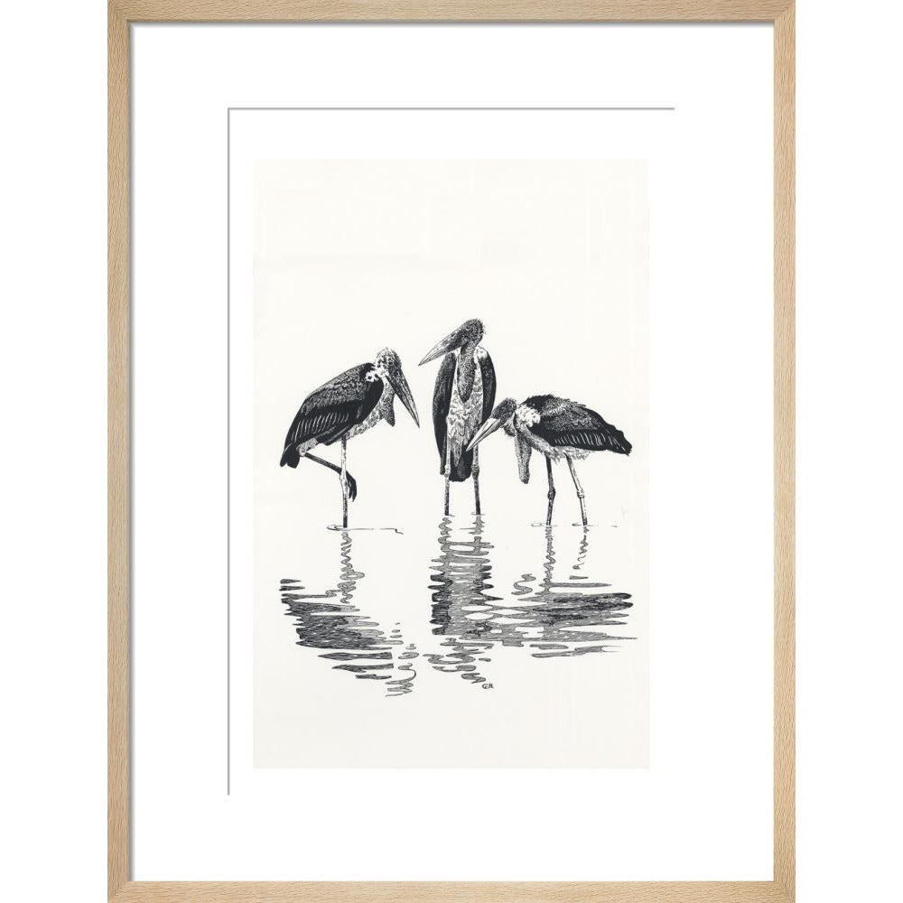Marabou at Kaseny - art print