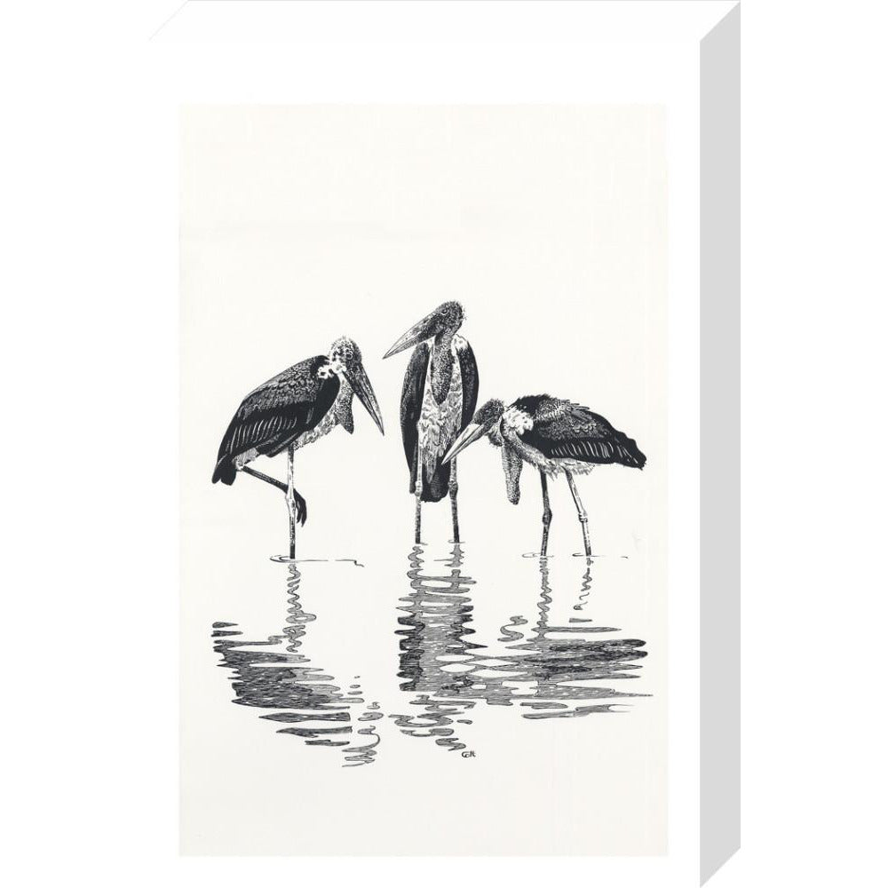 Marabou at Kaseny - art print