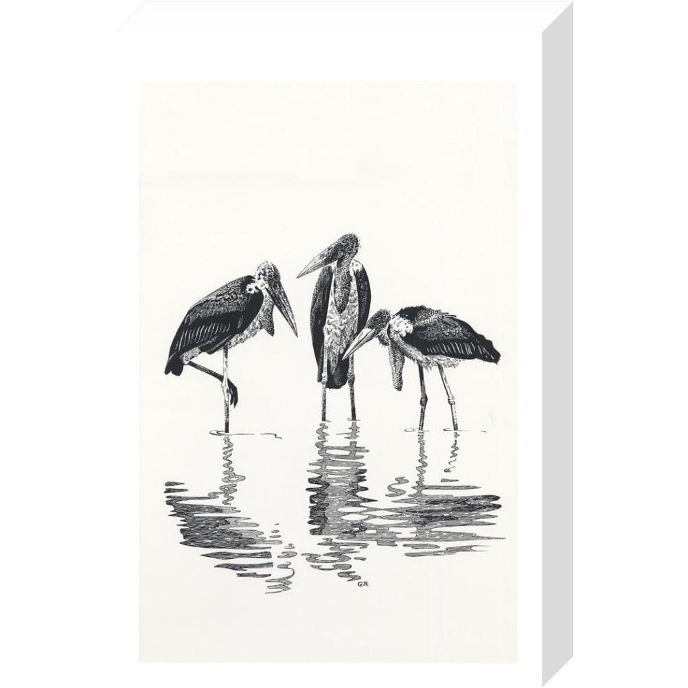 Marabou at Kaseny - art print