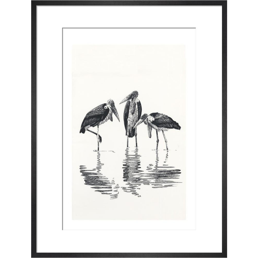 Marabou at Kaseny - art print
