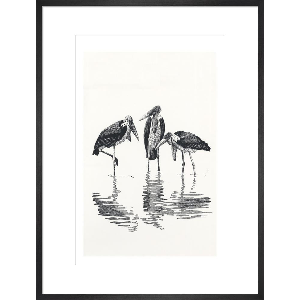 Marabou at Kaseny - art print