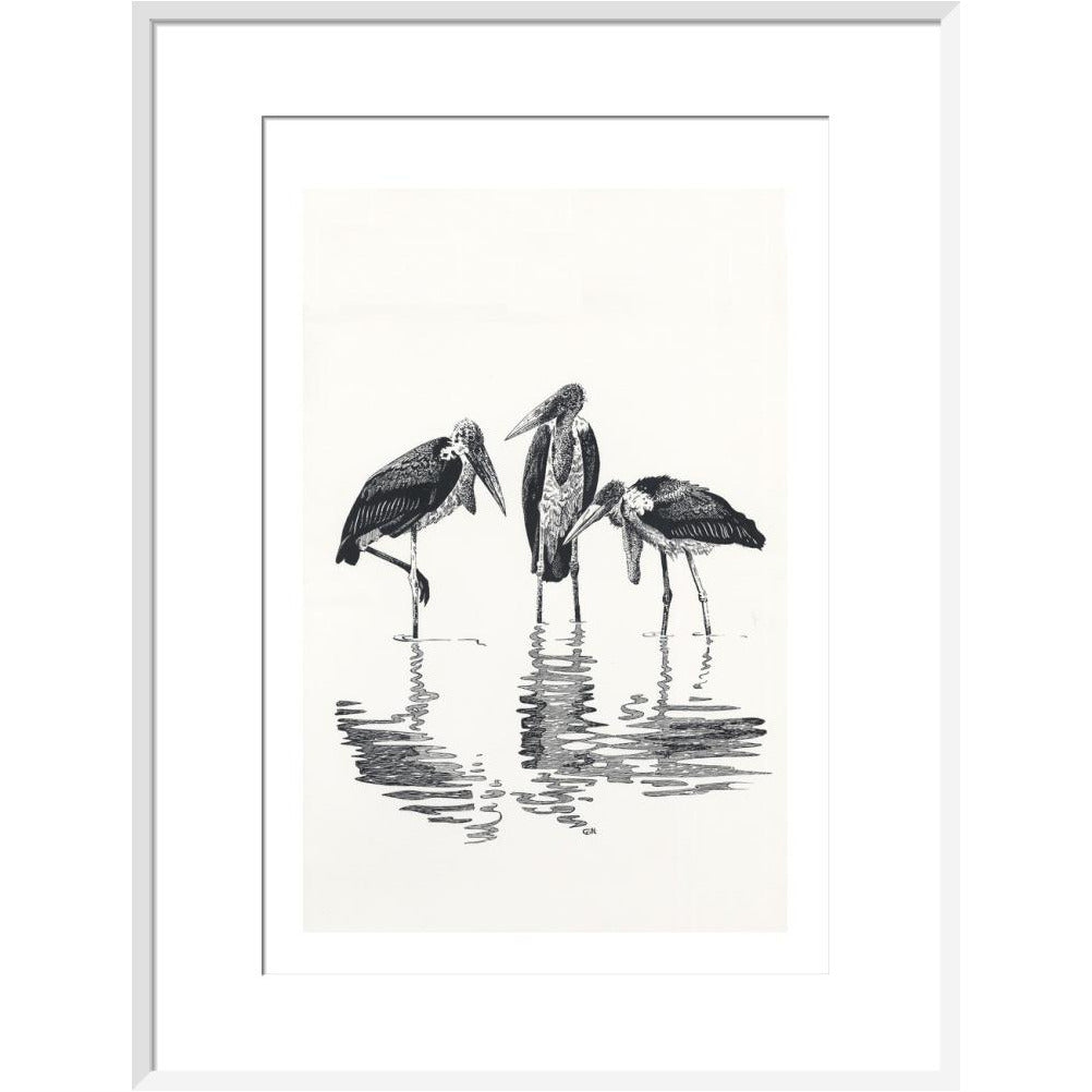 Marabou at Kaseny - art print
