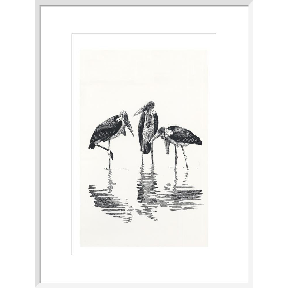Marabou at Kaseny - art print