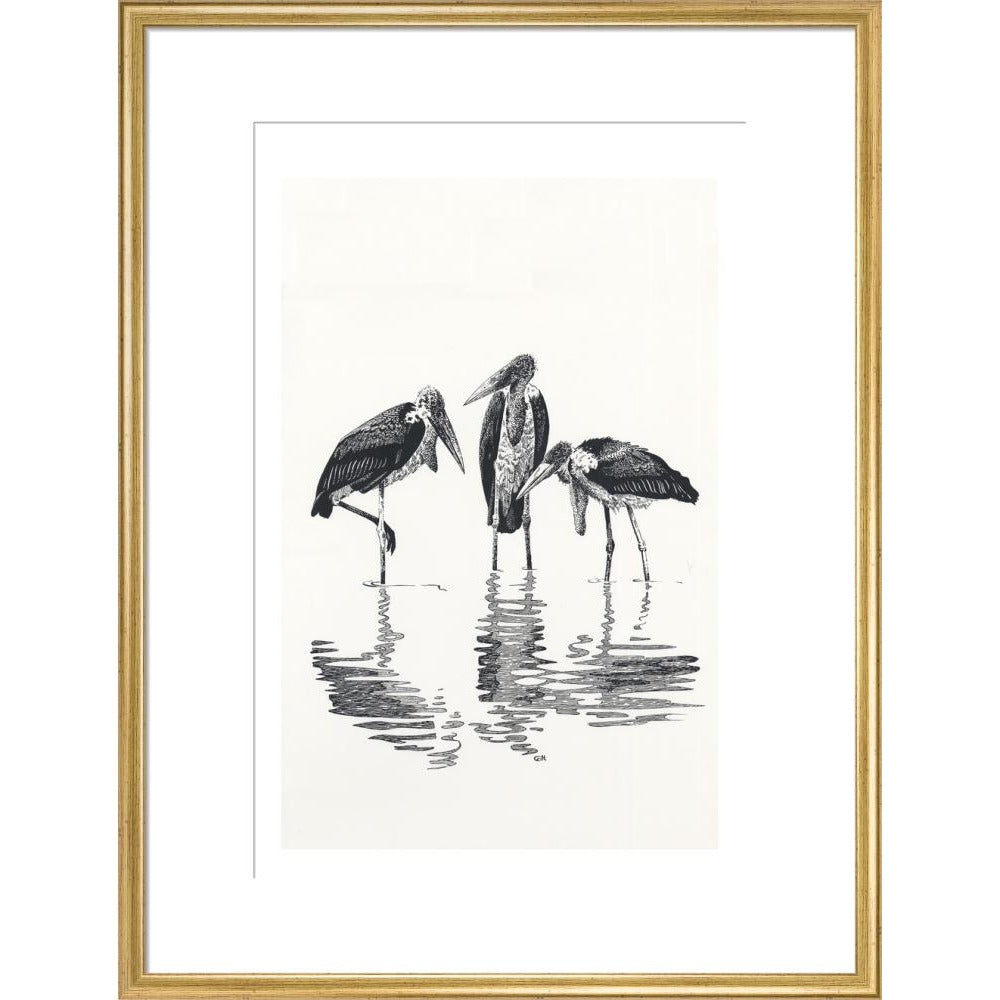 Marabou at Kaseny - art print