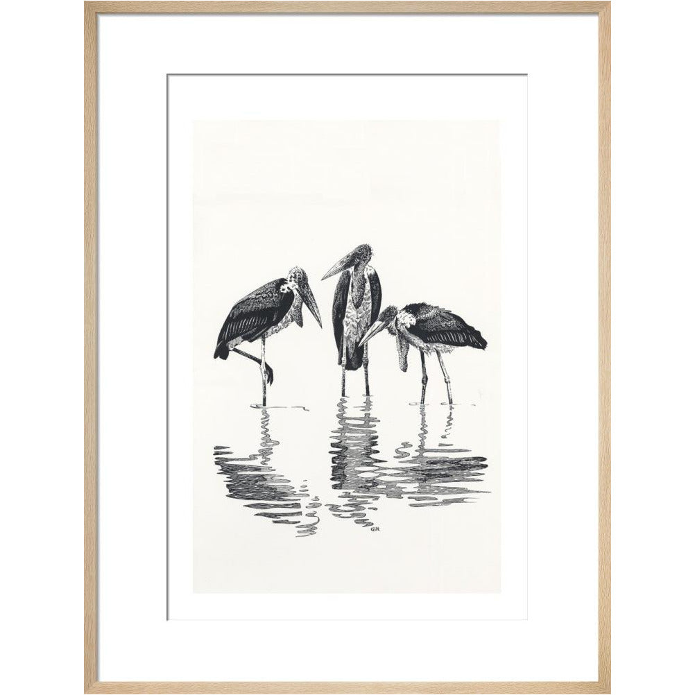 Marabou at Kaseny - art print