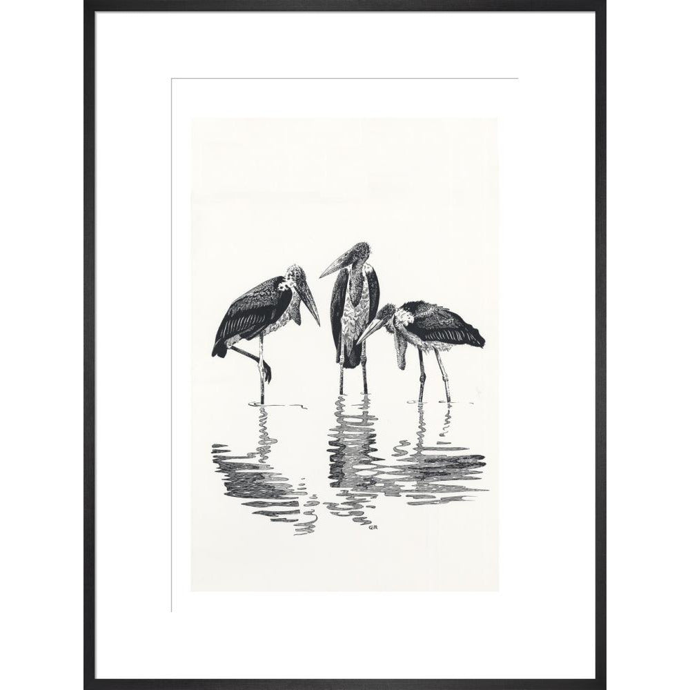 Marabou at Kaseny - art print