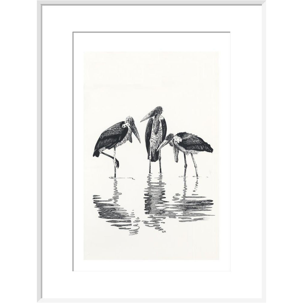 Marabou at Kaseny - art print