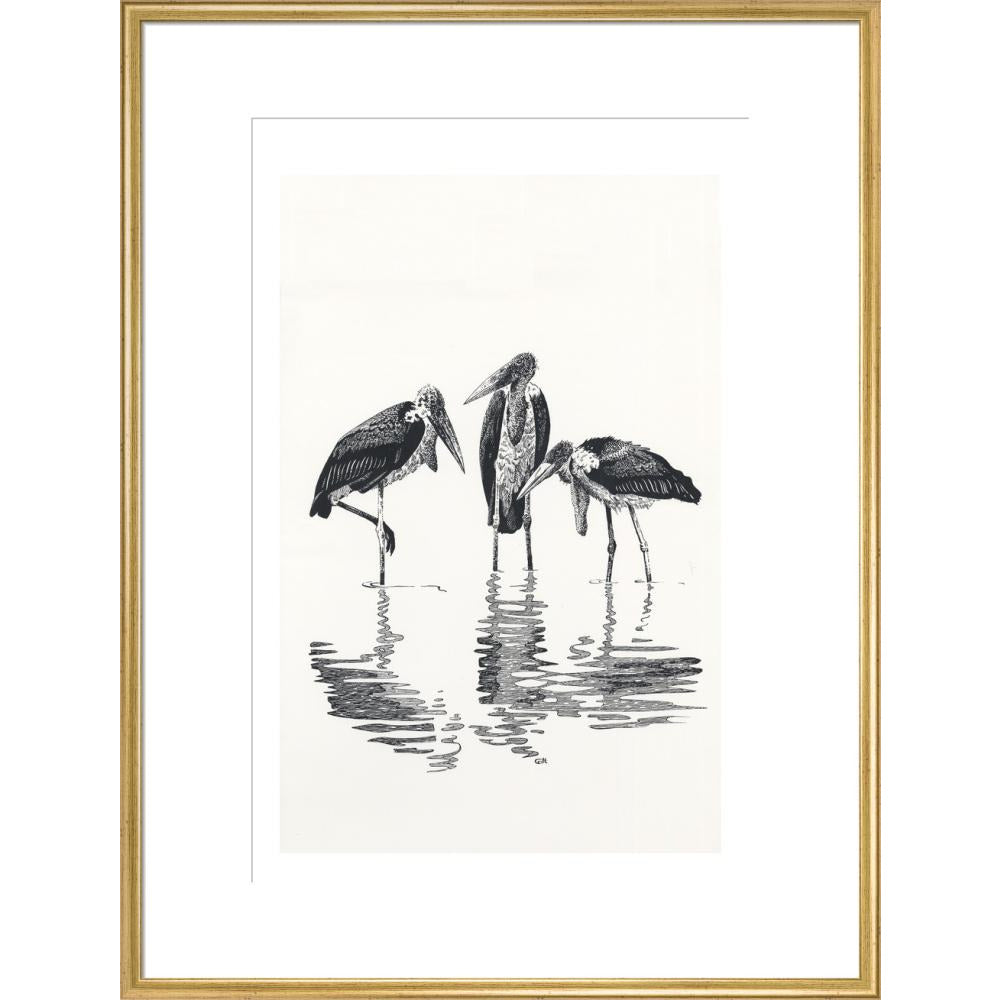 Marabou at Kaseny - art print