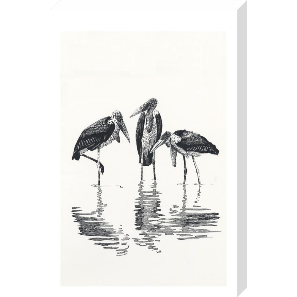 Marabou at Kaseny - art print
