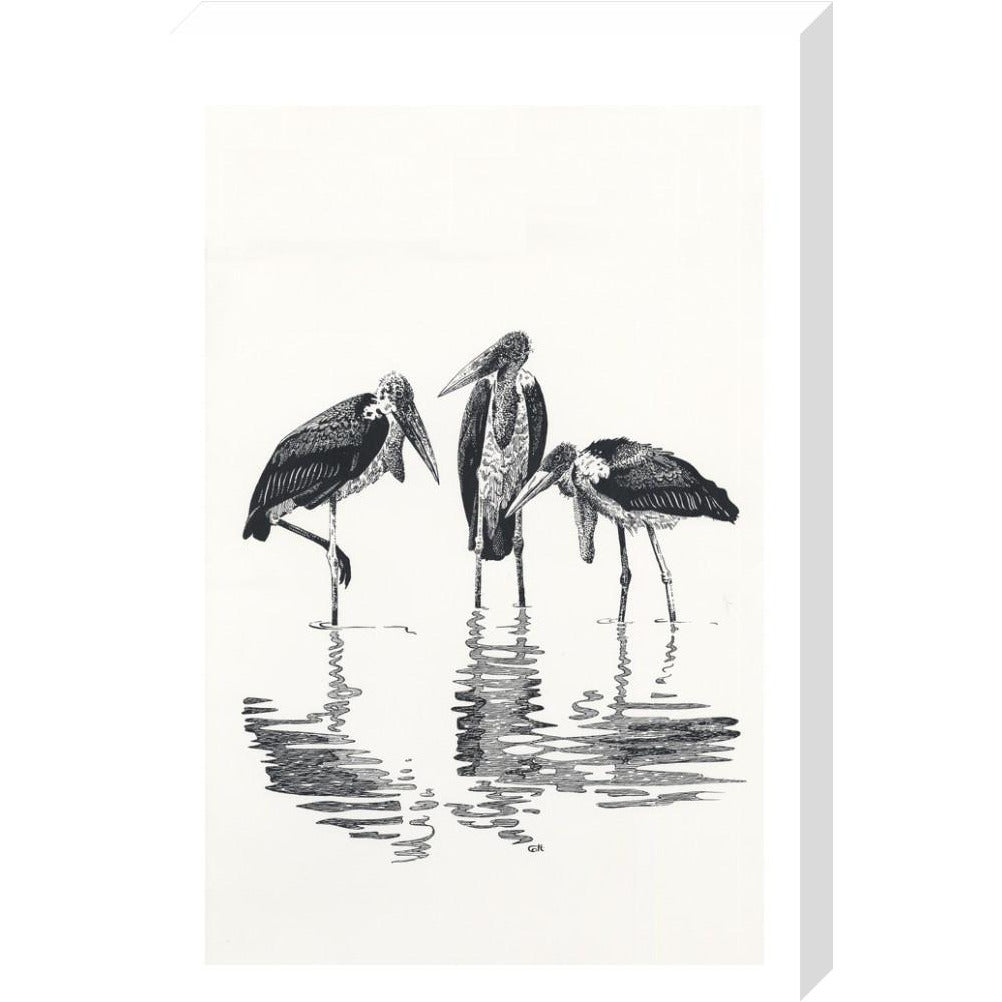 Marabou at Kaseny - art print