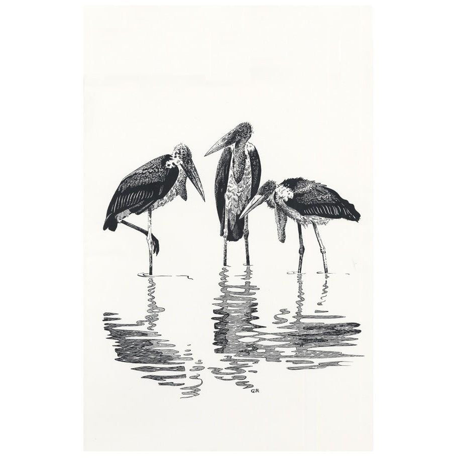 Marabou at Kaseny - art print
