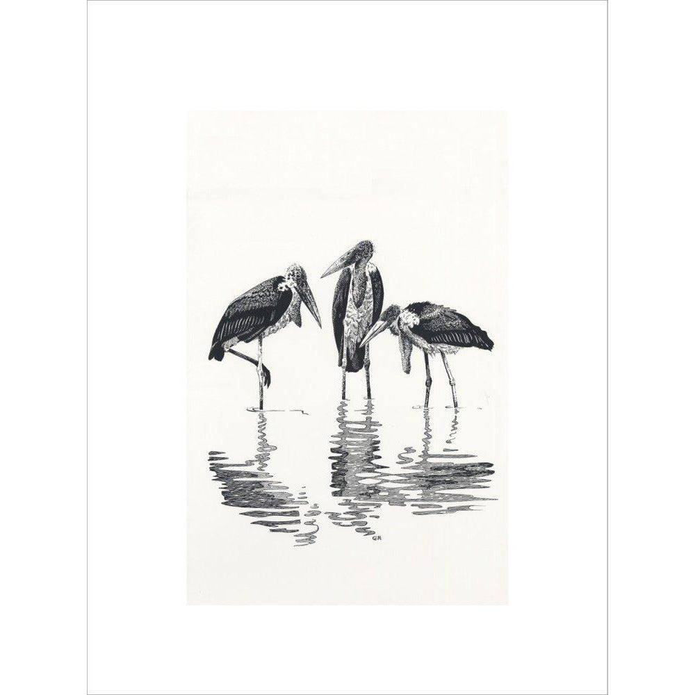 Marabou at Kaseny - art print