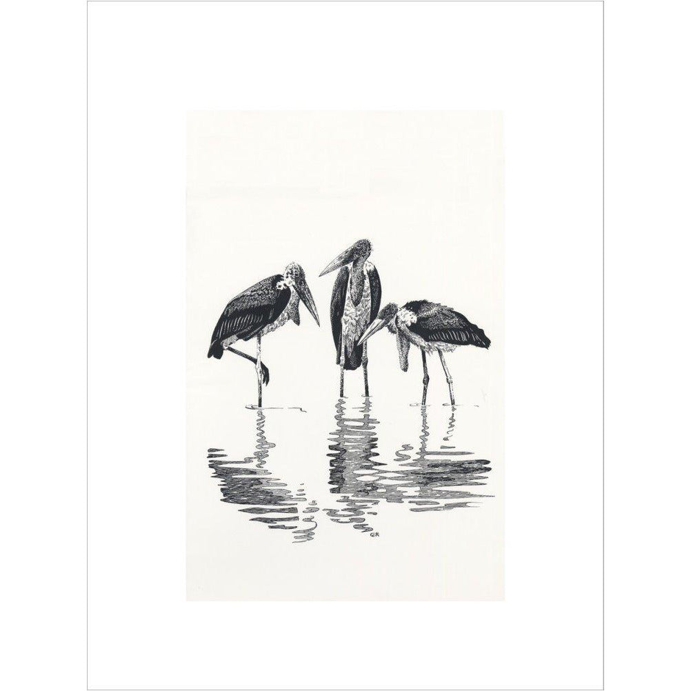 Marabou at Kaseny - art print