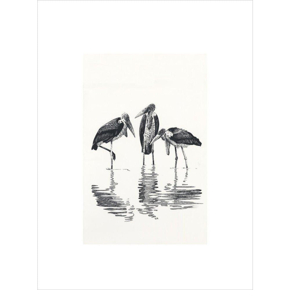 Marabou at Kaseny - art print