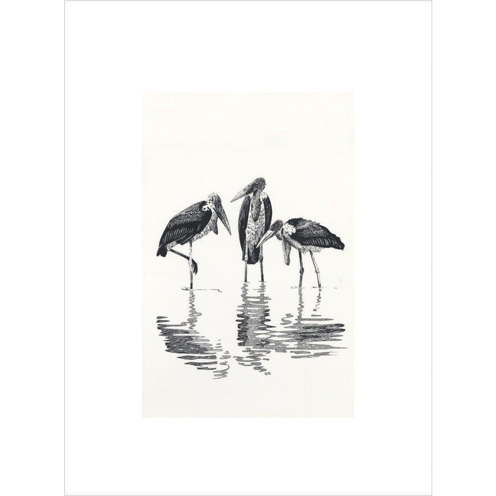 Marabou at Kaseny - art print