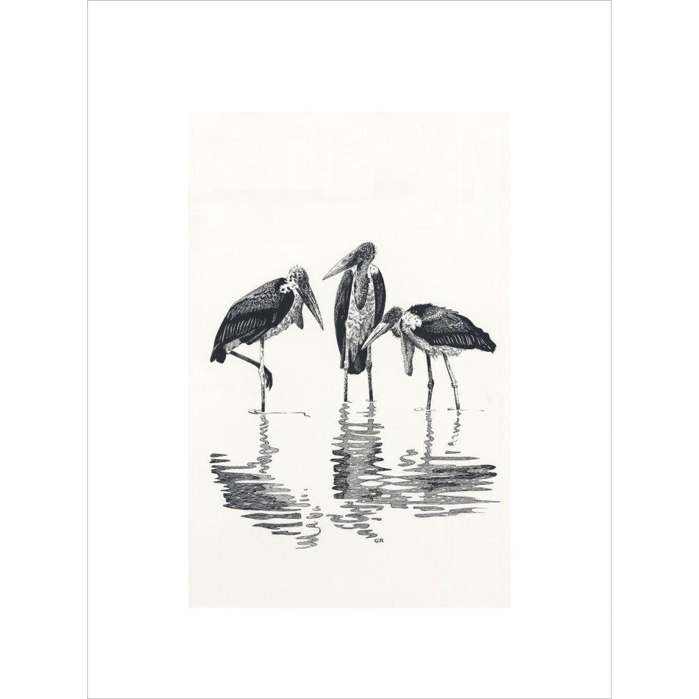 Marabou at Kaseny - art print