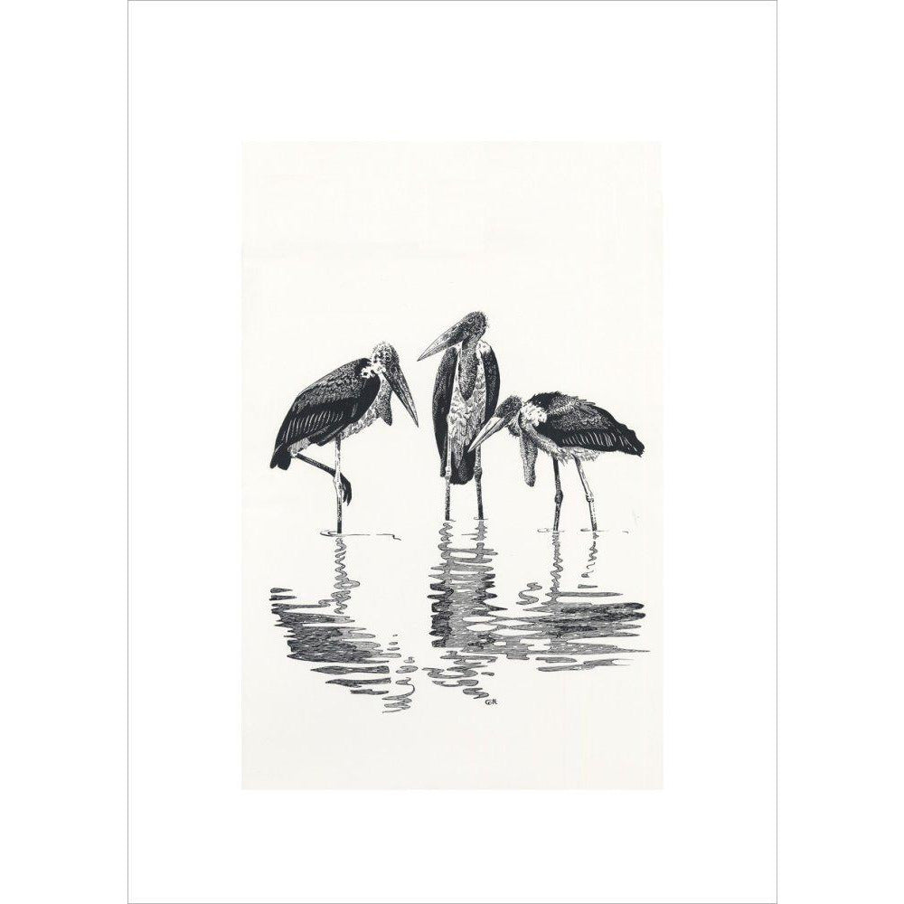 Marabou at Kaseny - art print