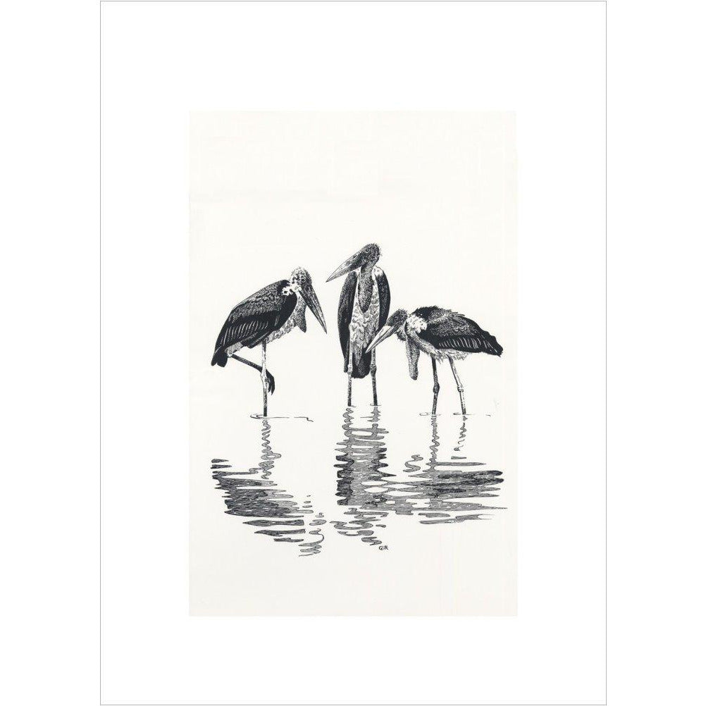Marabou at Kaseny - art print