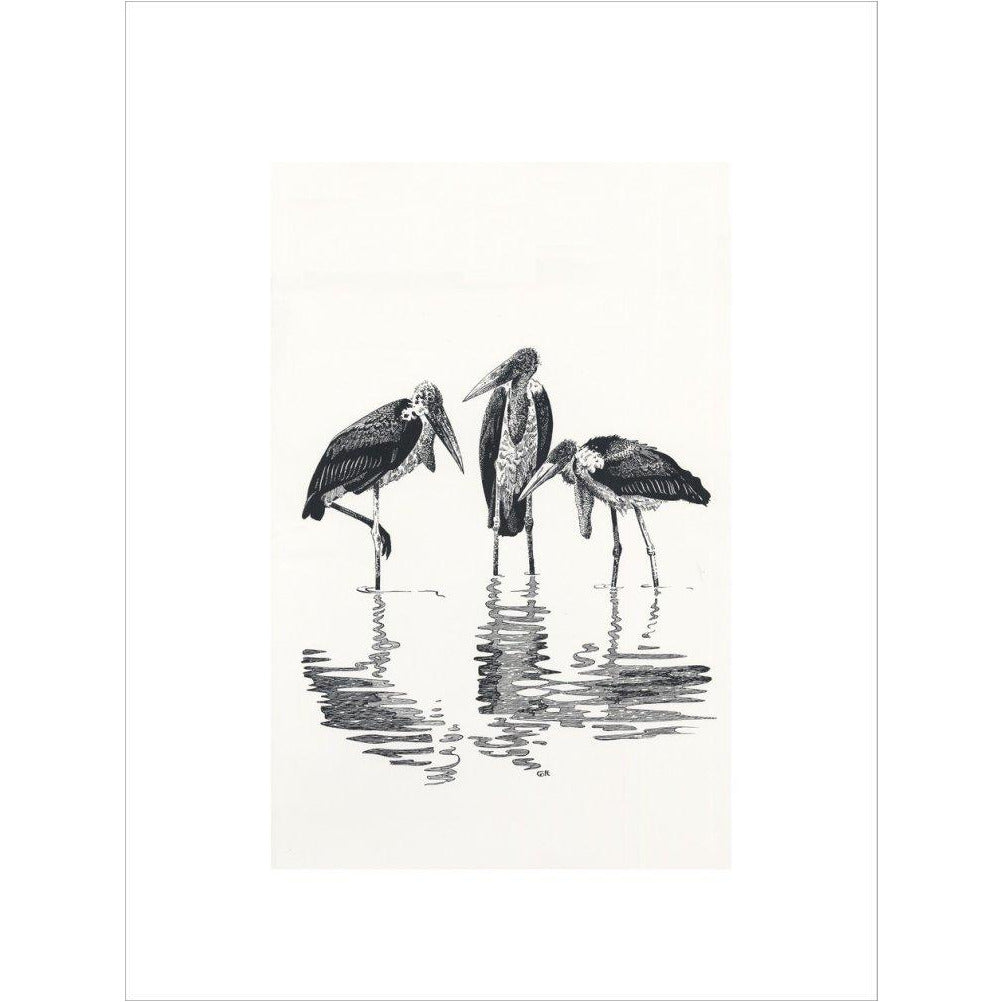 Marabou at Kaseny - art print