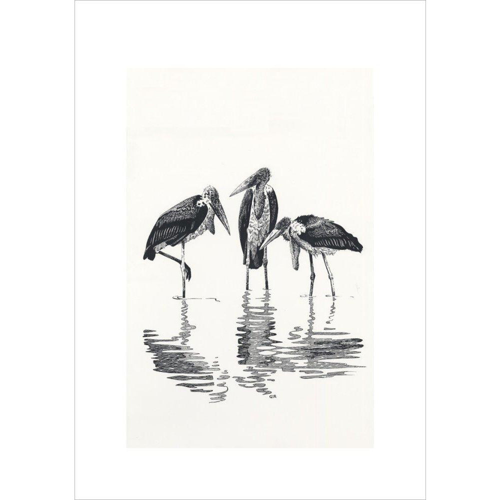 Marabou at Kaseny - art print