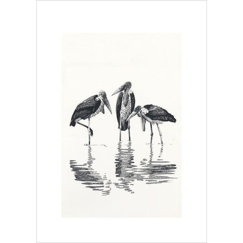 Marabou at Kaseny - art print