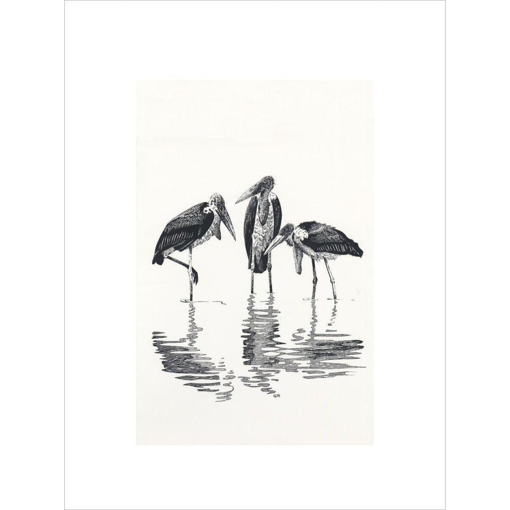 Marabou at Kaseny - art print