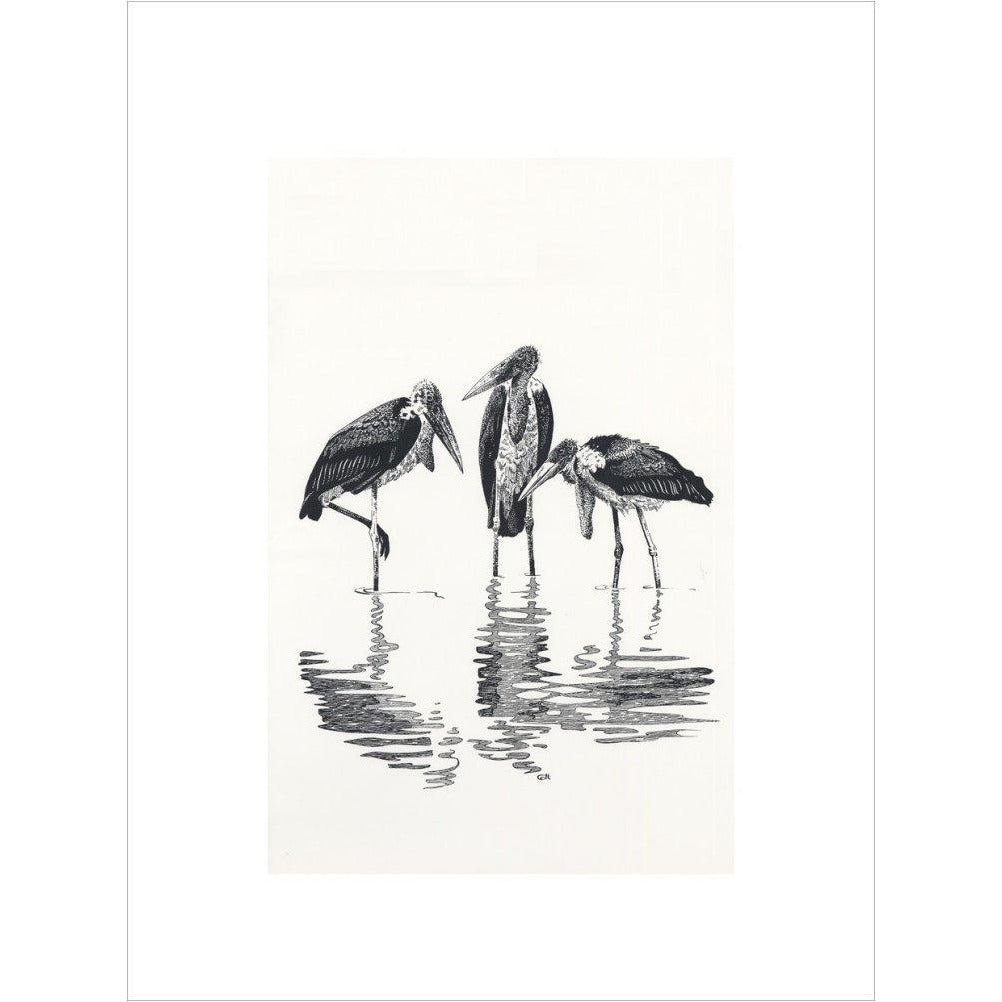 Marabou at Kaseny - art print