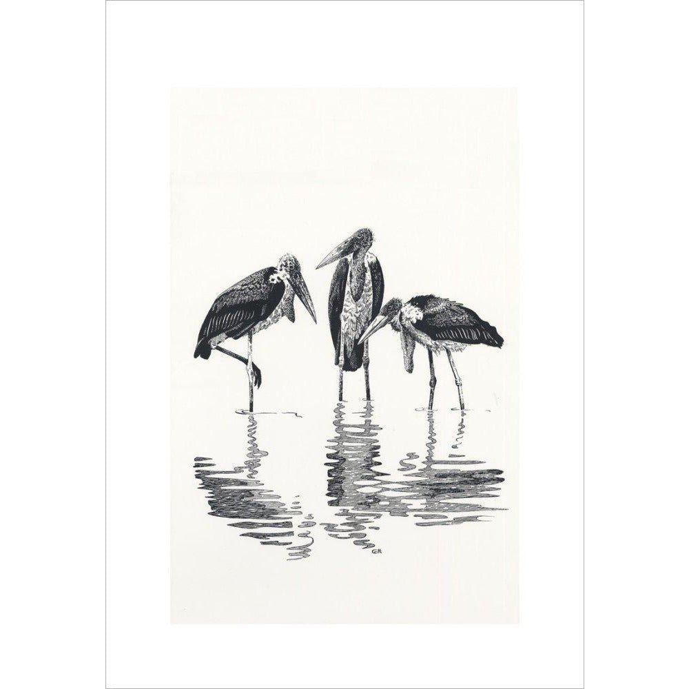 Marabou at Kaseny - art print