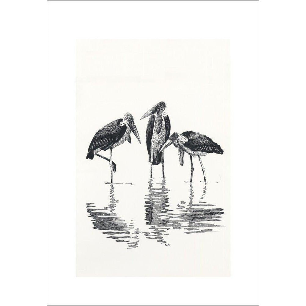 Marabou at Kaseny - art print