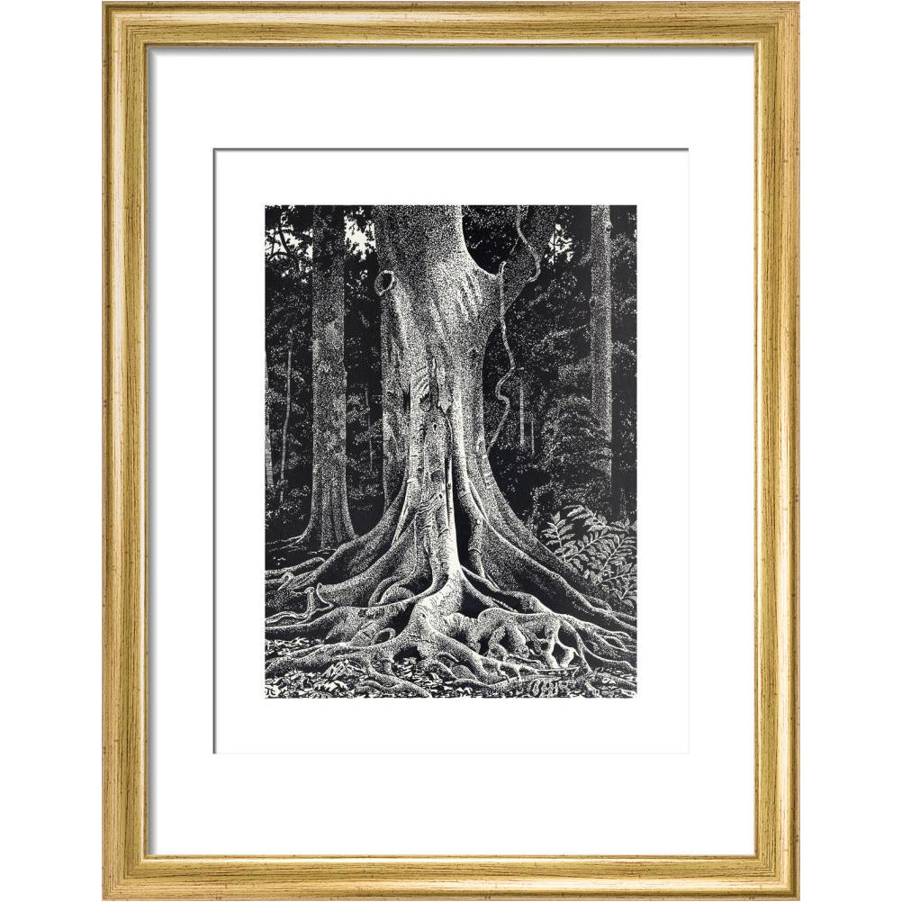 Forest Giant - art print