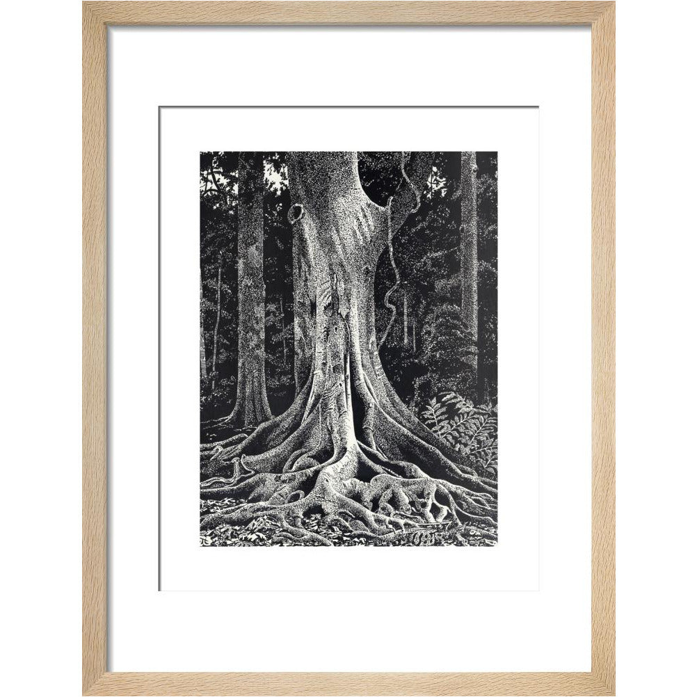 Forest Giant - art print