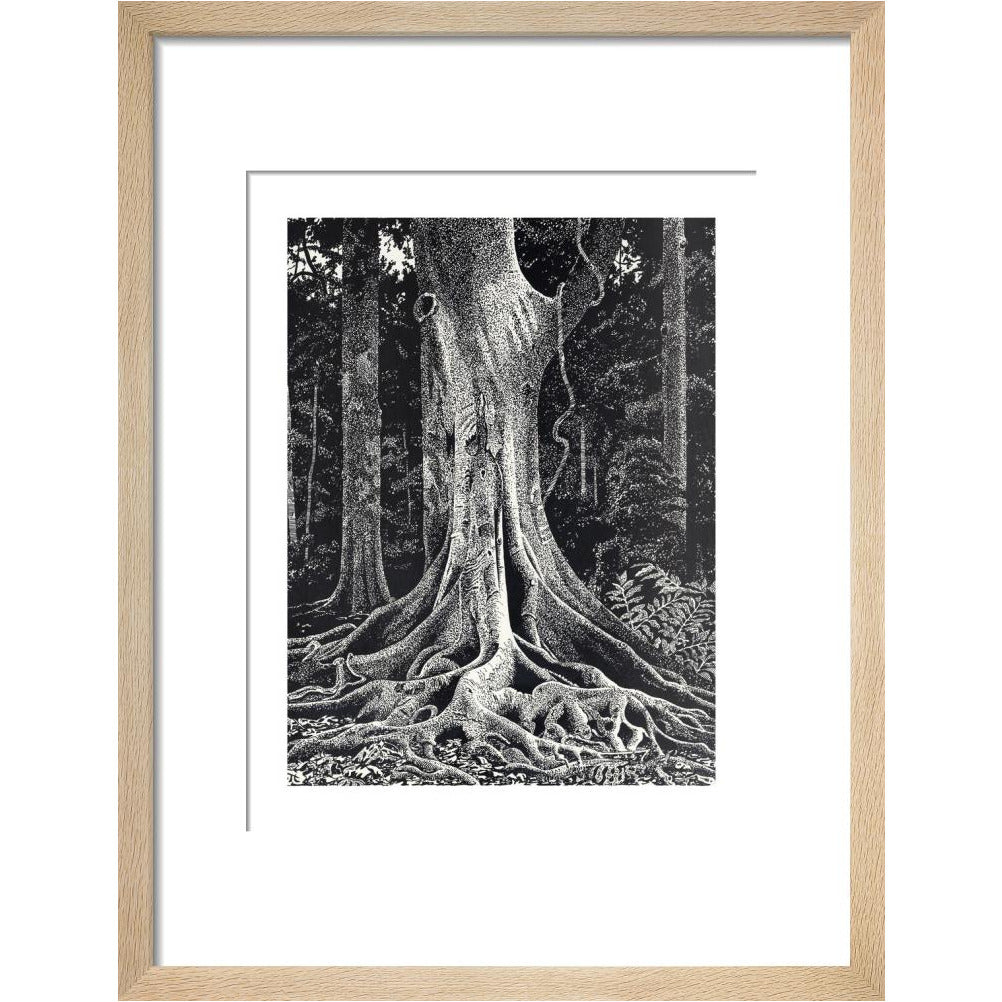Forest Giant - art print