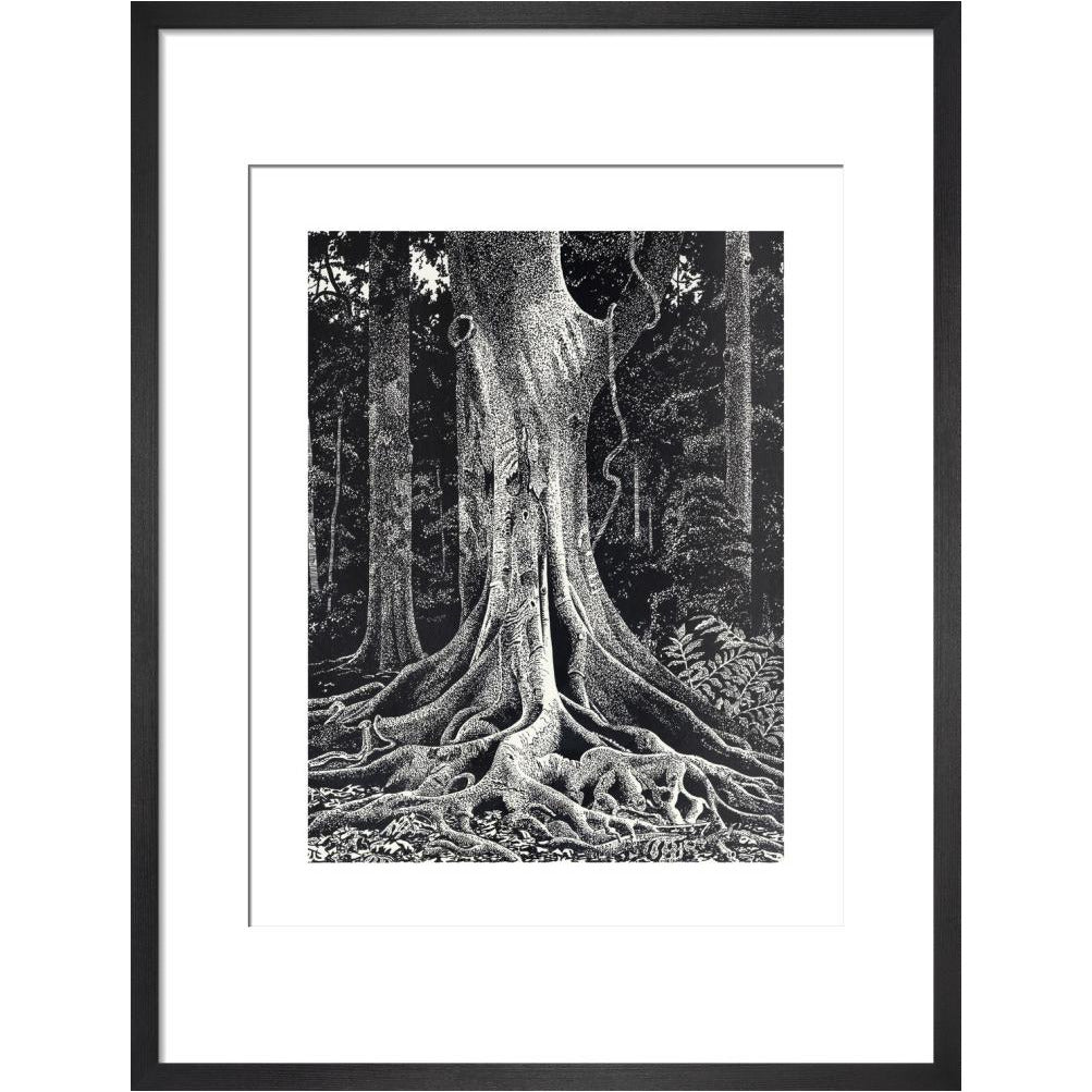Forest Giant - art print