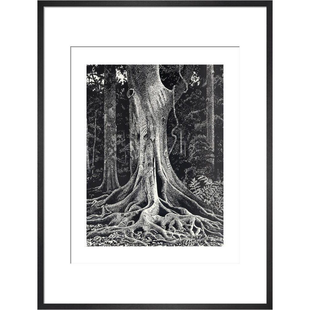 Forest Giant - art print