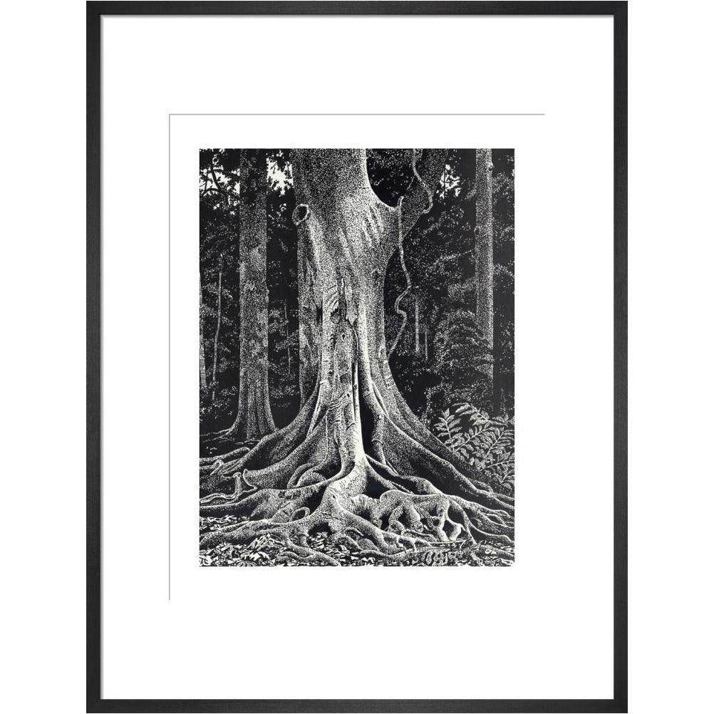 Forest Giant - art print