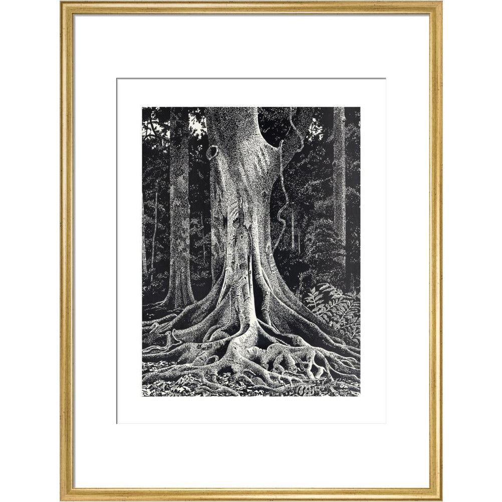 Forest Giant - art print