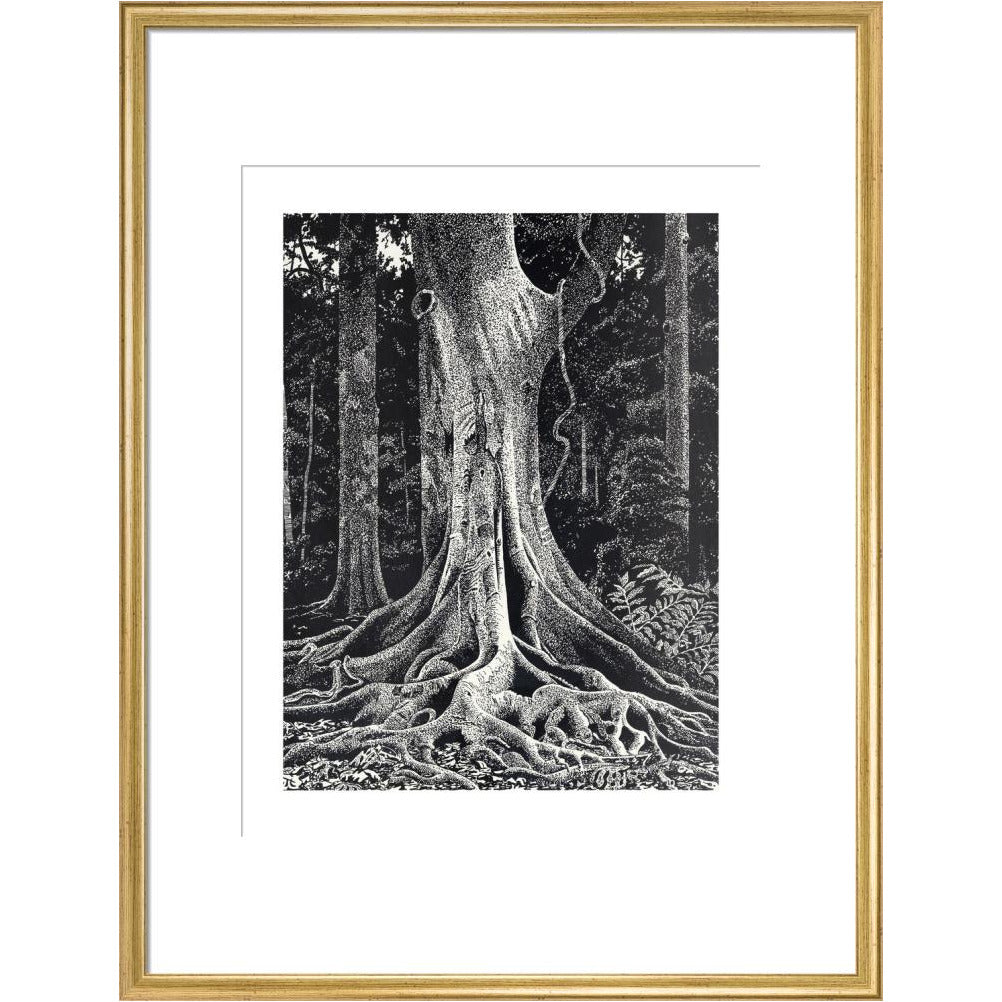 Forest Giant - art print