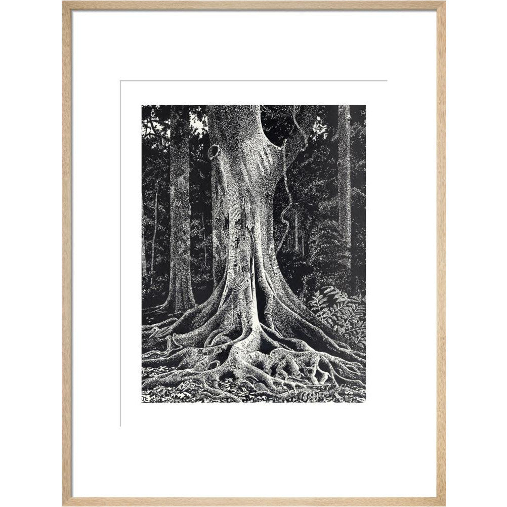 Forest Giant - art print